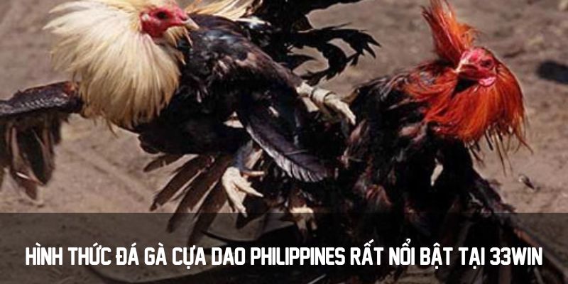 Đá Gà C1 33win - Giải Mã Sức Hút Của Tựa Game Hấp Dẫn 3 Hình thức đá gà cựa dao Philippines rất nổi bật tại 33win